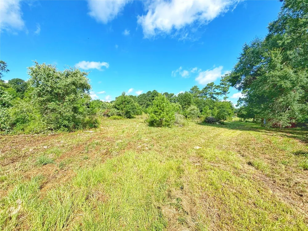 Fm 2926 Grapeland, TX 75844
