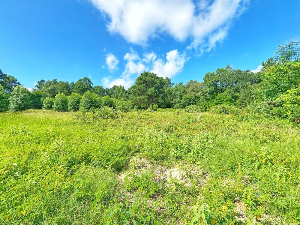 Fm 2926 Grapeland, TX 75844