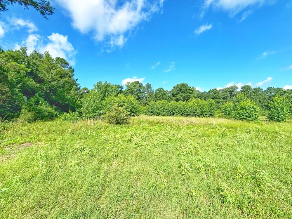 Fm 2926 Grapeland, TX 75844