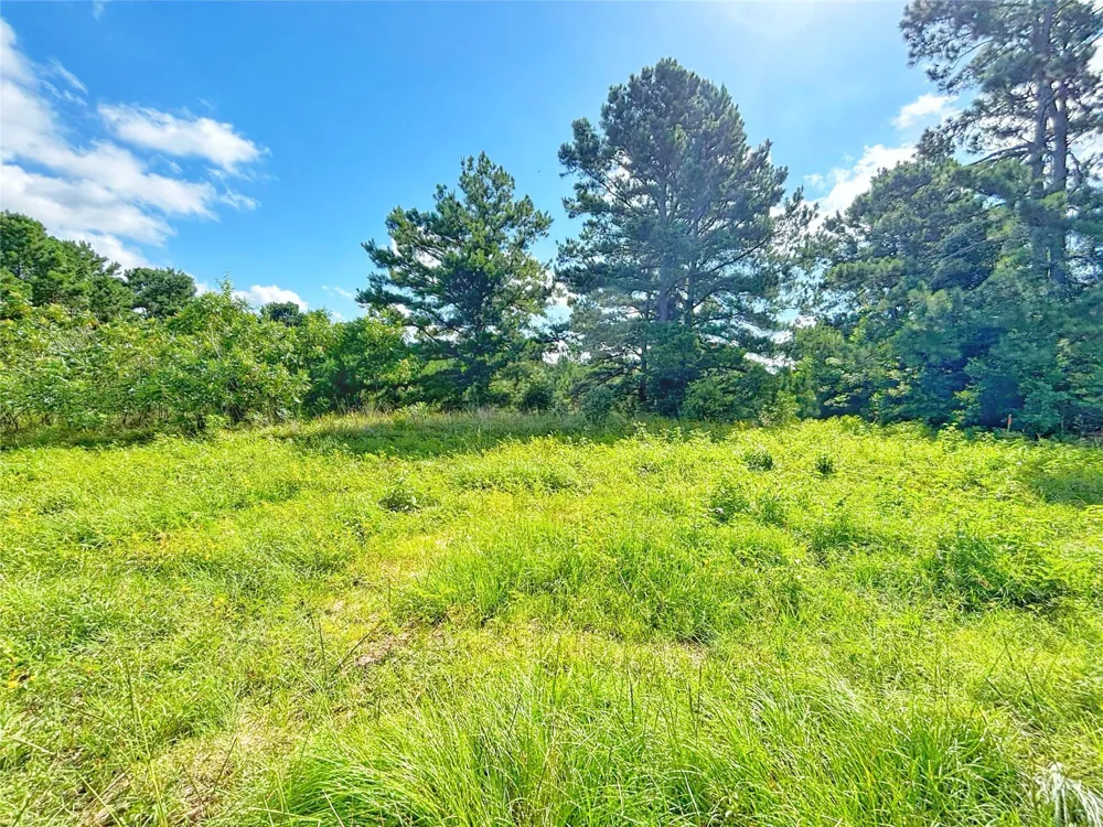 Fm 2926 Grapeland, TX 75844