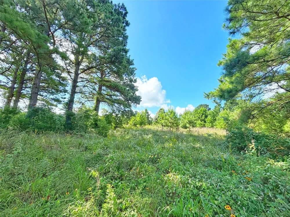 Fm 2926 Grapeland, TX 75844