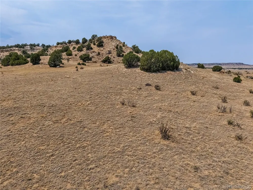 1121 Stone Cliff Drive Rye, CO 81069