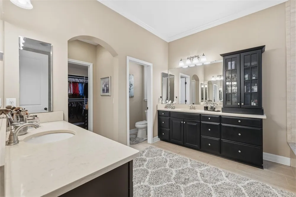 14231 AVON FARMS DRIVE Tampa, FL 33618