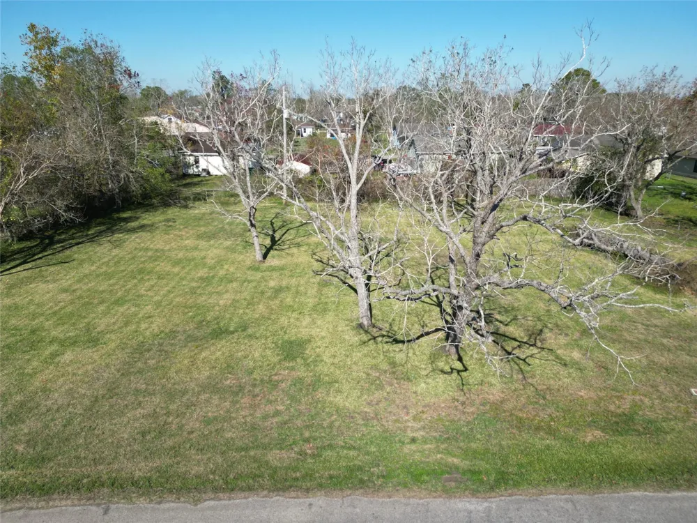 409 Carlton Street Brazoria, TX 77422