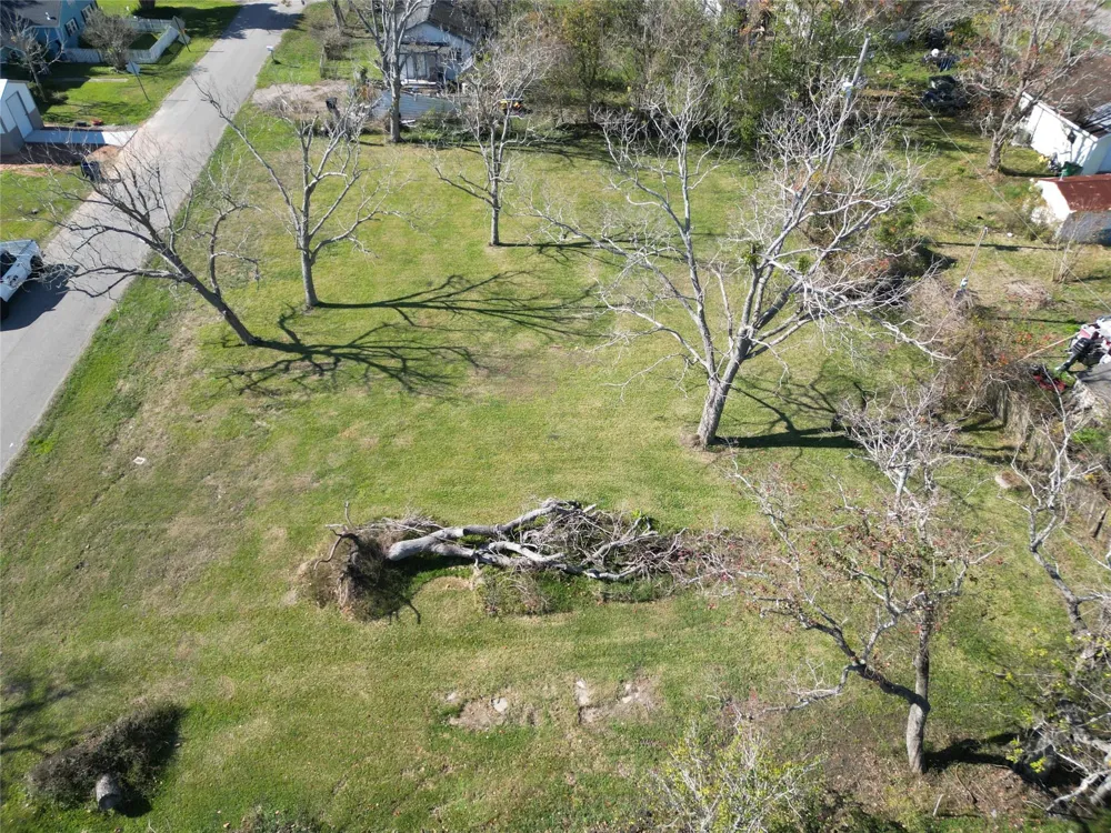 409 Carlton Street Brazoria, TX 77422