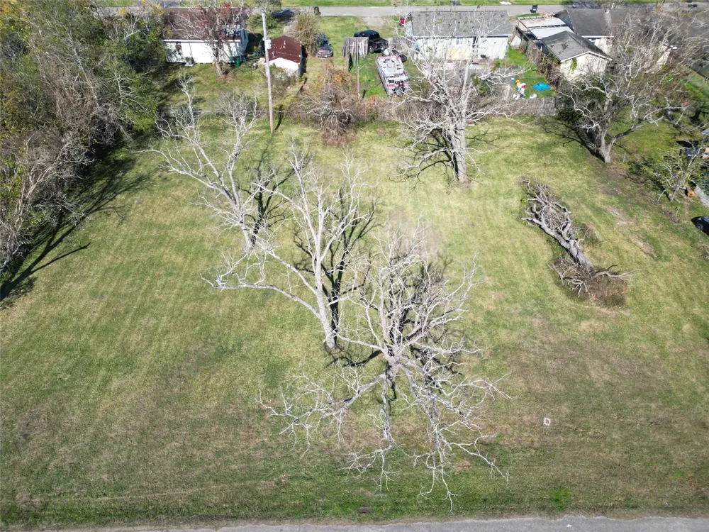 409 Carlton Street Brazoria, TX 77422