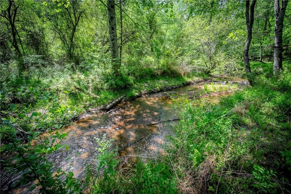 LT2-2a Waterstone Way Mineral Bluff, GA 30559