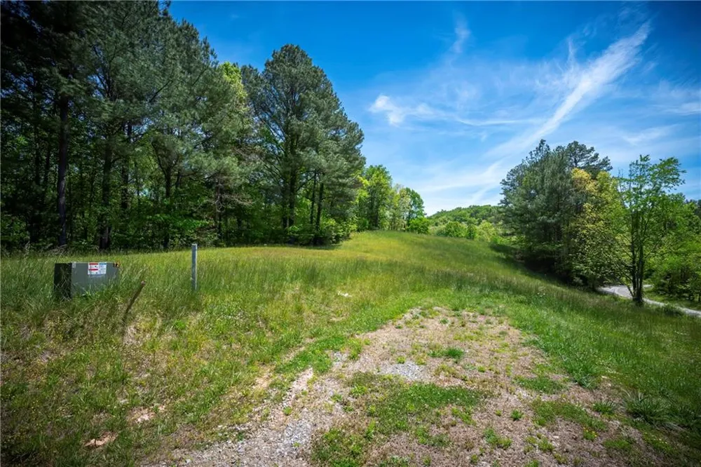 LT2-2a Waterstone Way Mineral Bluff, GA 30559