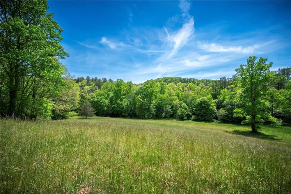 LT2-2a Waterstone Way Mineral Bluff, GA 30559
