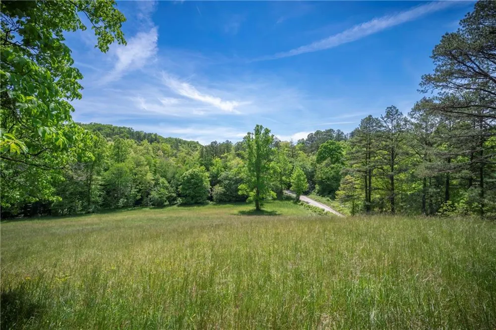 LT2-2a Waterstone Way Mineral Bluff, GA 30559