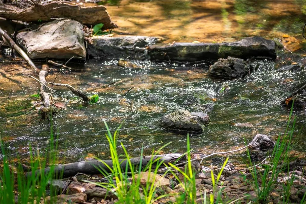 LT2-2a Waterstone Way Mineral Bluff, GA 30559