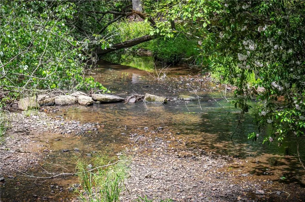 LT2-2a Waterstone Way Mineral Bluff, GA 30559