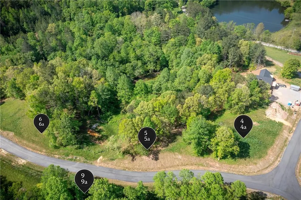 LT4-4a Waterstone Way Mineral Bluff, GA 30559