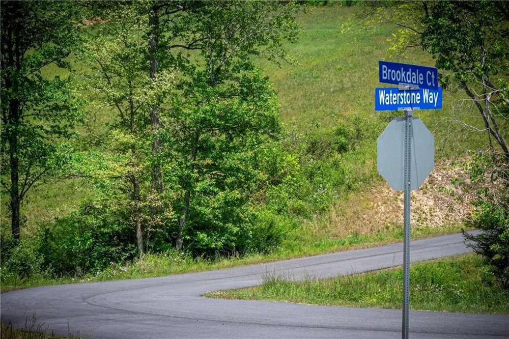 LT4-4a Waterstone Way Mineral Bluff, GA 30559