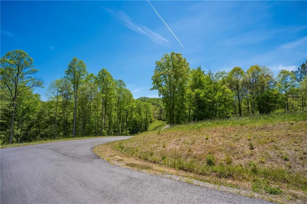 LT4-4a Waterstone Way Mineral Bluff, GA 30559