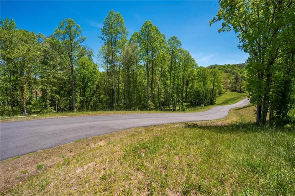LT4-4a Waterstone Way Mineral Bluff, GA 30559