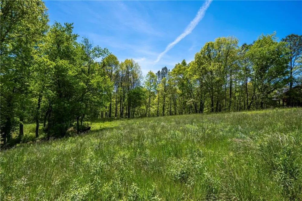 LT4-4a Waterstone Way Mineral Bluff, GA 30559