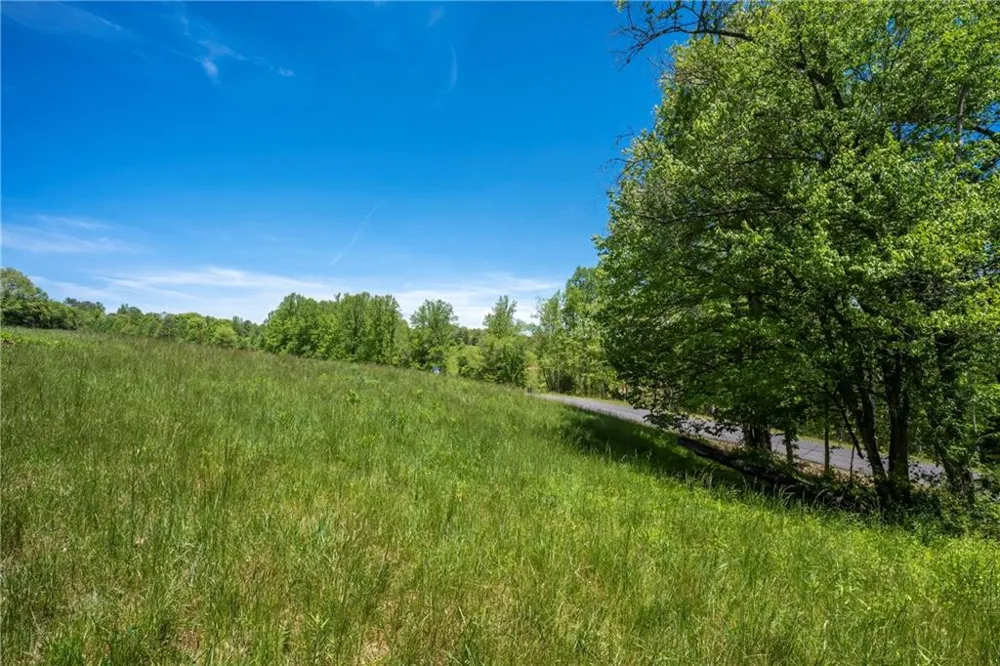 LT4-4a Waterstone Way Mineral Bluff, GA 30559