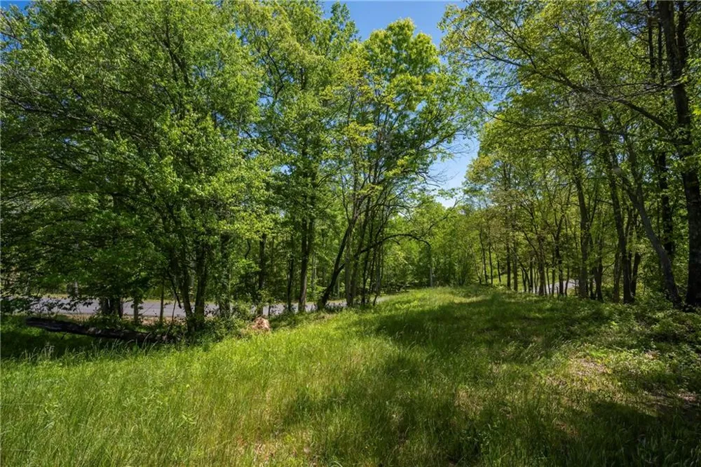 LT4-4a Waterstone Way Mineral Bluff, GA 30559