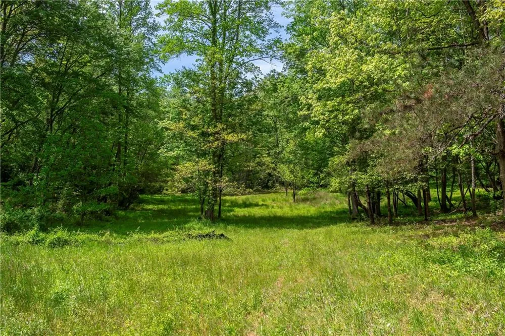LT5-5a Waterstone Way Mineral Bluff, GA 30559