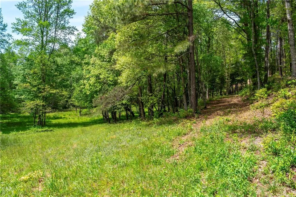 LT5-5a Waterstone Way Mineral Bluff, GA 30559