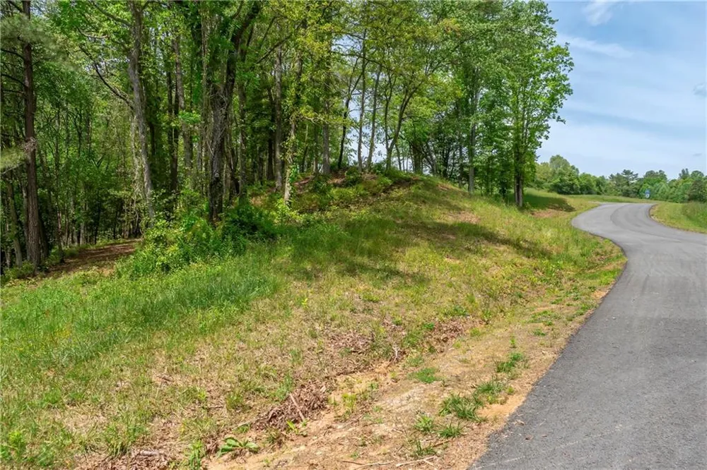 LT5-5a Waterstone Way Mineral Bluff, GA 30559
