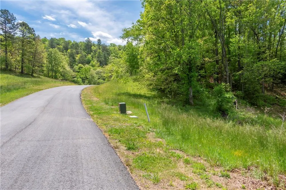 LT5-5a Waterstone Way Mineral Bluff, GA 30559