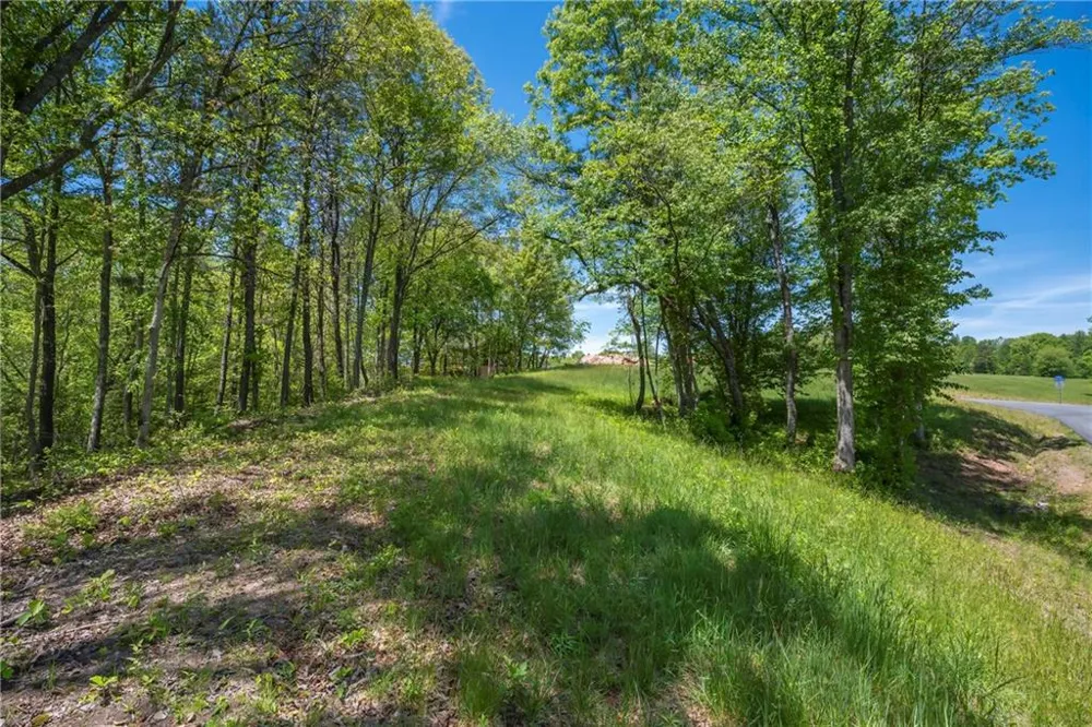 LT5-5a Waterstone Way Mineral Bluff, GA 30559