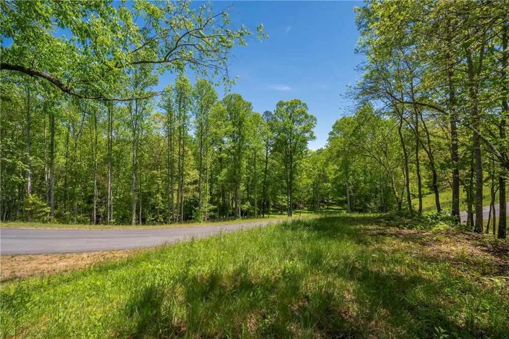 LT5-5a Waterstone Way Mineral Bluff, GA 30559