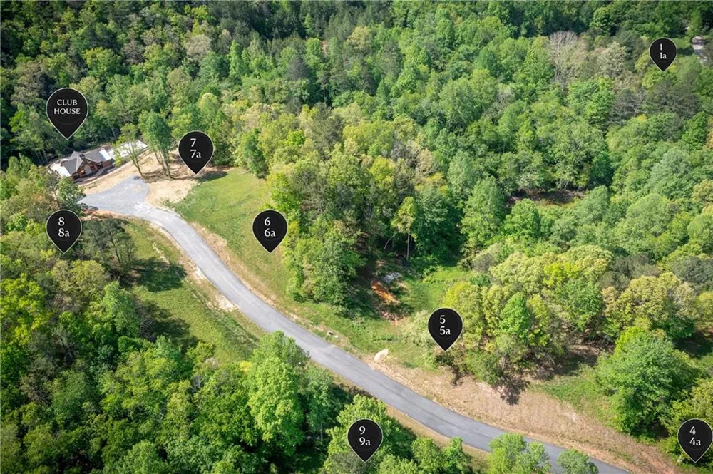 LT5-5a Waterstone Way Mineral Bluff, GA 30559