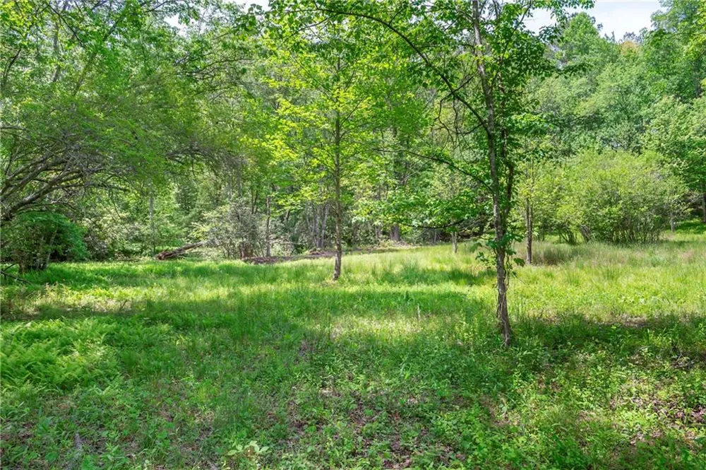 LT5-5a Waterstone Way Mineral Bluff, GA 30559