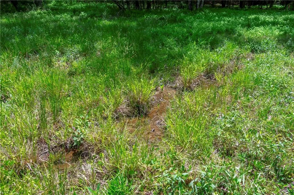 LT5-5a Waterstone Way Mineral Bluff, GA 30559