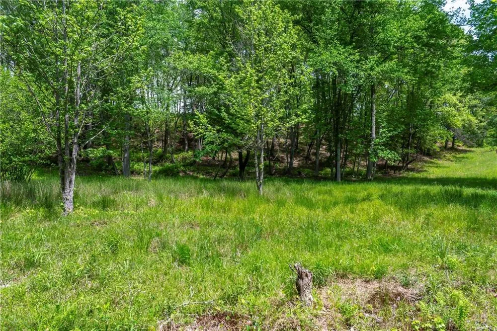LT5-5a Waterstone Way Mineral Bluff, GA 30559