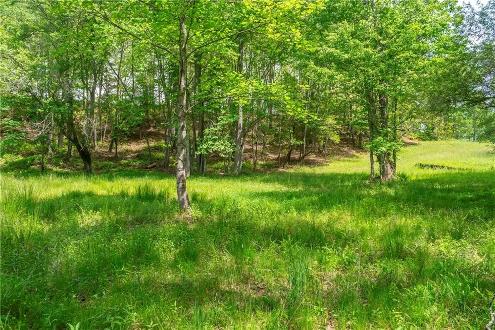 LT5-5a Waterstone Way Mineral Bluff, GA 30559