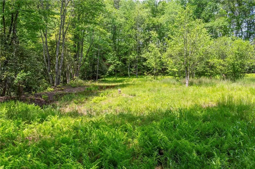 LT5-5a Waterstone Way Mineral Bluff, GA 30559