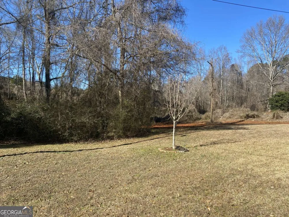 0 Hannah CT Barnesville, GA 30204