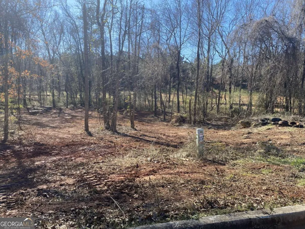 0 Hannah CT Barnesville, GA 30204