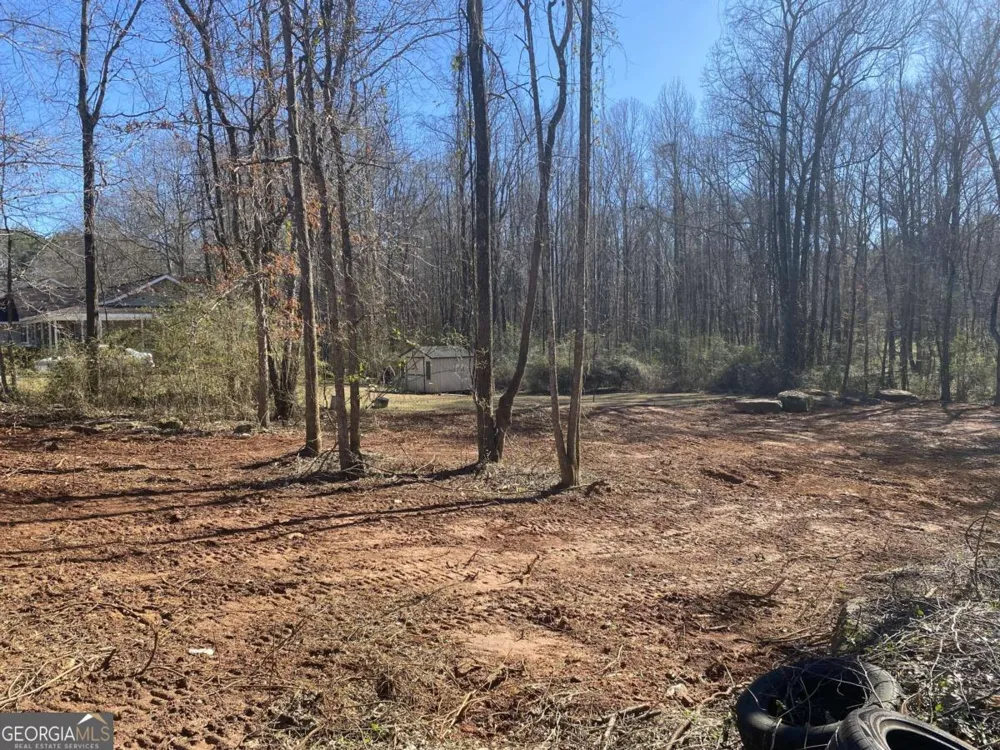 0 Hannah CT Barnesville, GA 30204