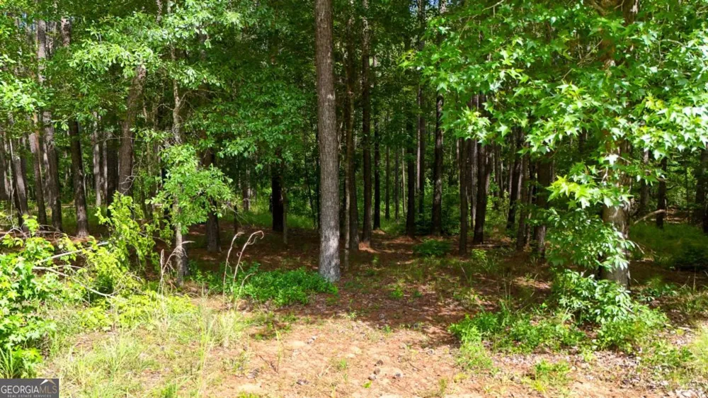 331 Pebble Hollow DR Milledgeville, GA 31061