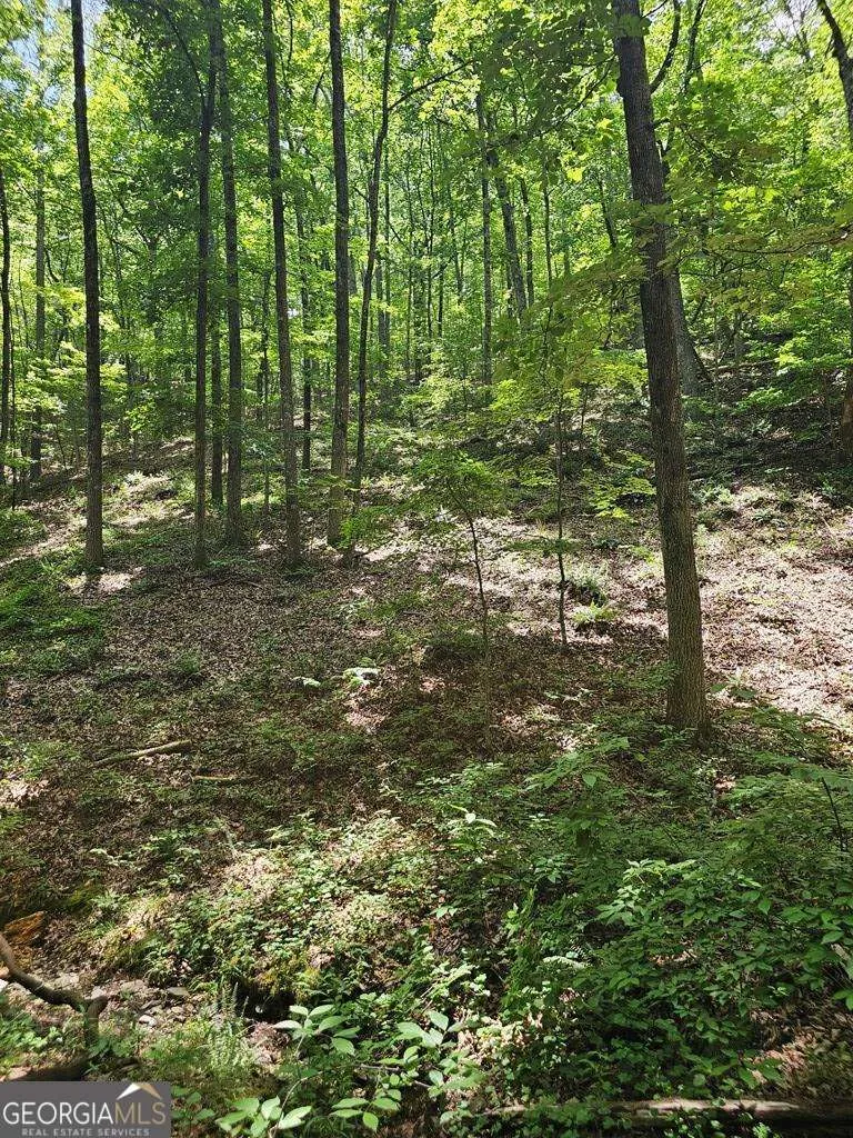 549 NE Myriad WAY Ranger, GA 30734