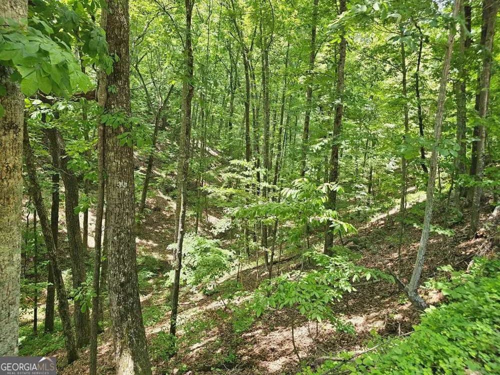 549 NE Myriad WAY Ranger, GA 30734