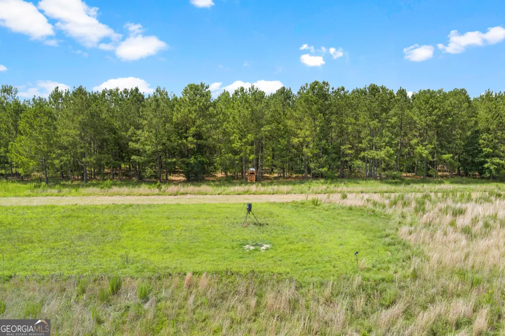854 Bell RD Millen, GA 30442