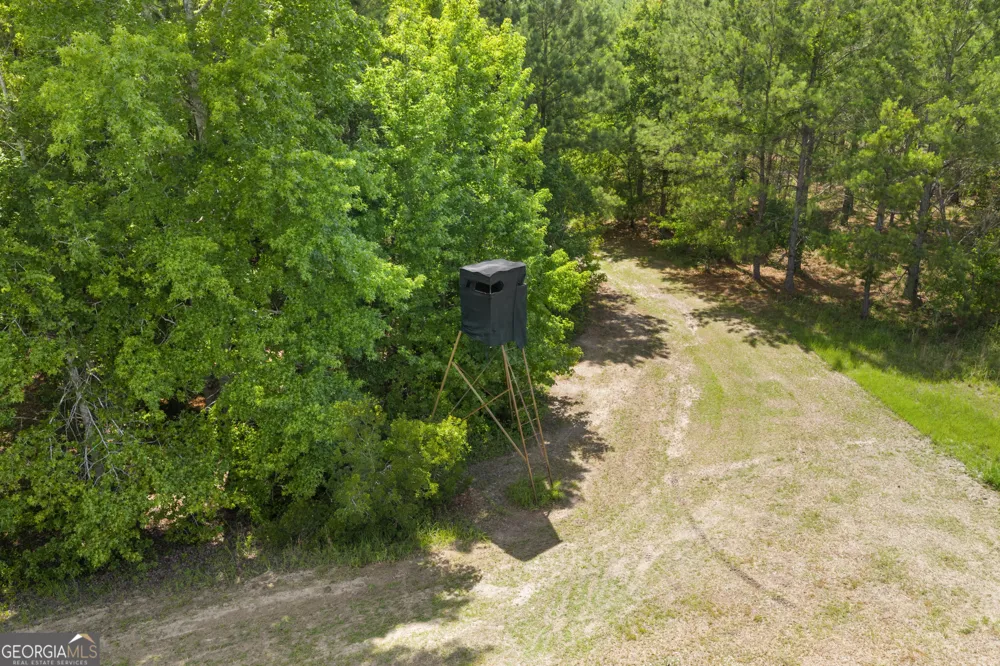 854 Bell RD Millen, GA 30442
