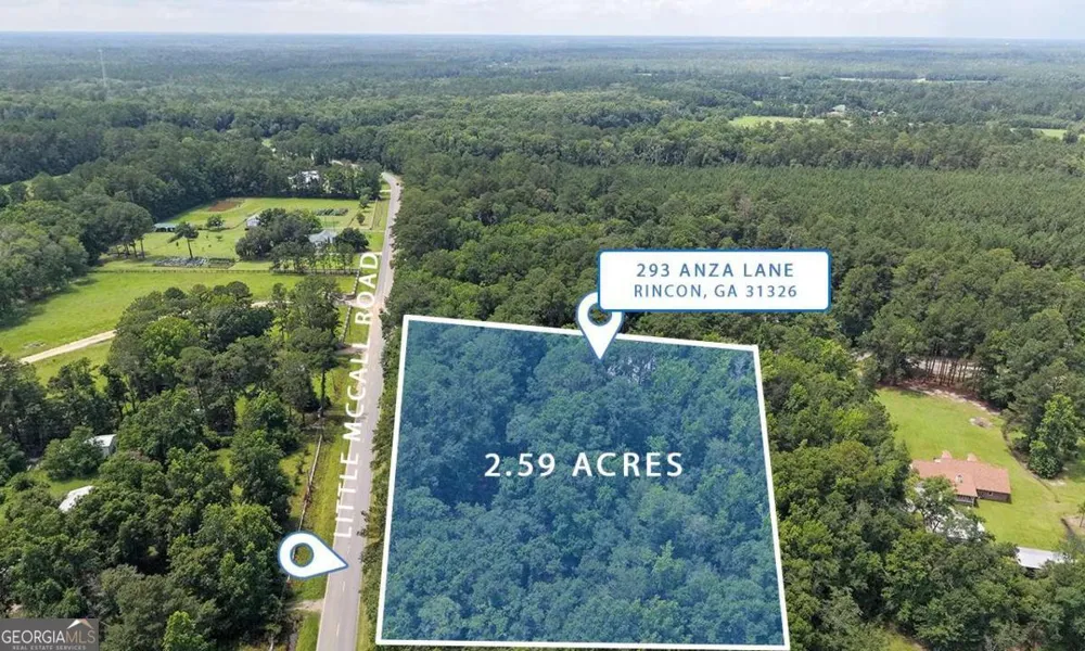293 Anza LN Rincon, GA 31326