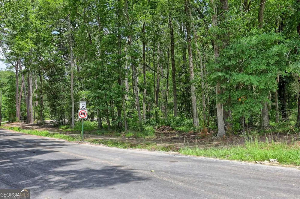 293 Anza LN Rincon, GA 31326