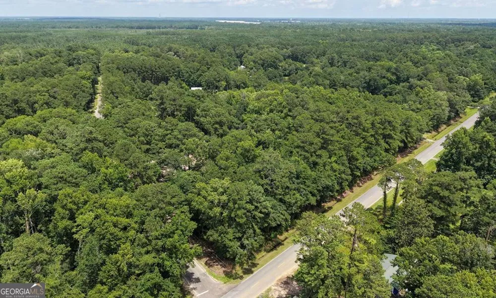 293 Anza LN Rincon, GA 31326