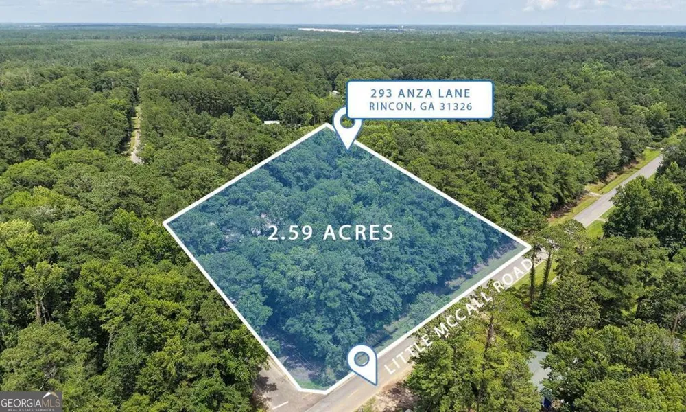 293 Anza LN Rincon, GA 31326
