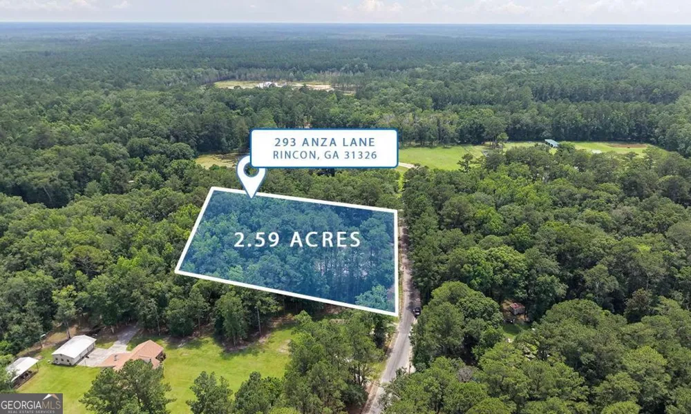 293 Anza LN Rincon, GA 31326