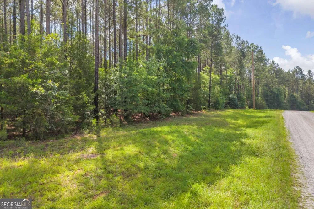 0 WHITE OWL DR Elberton, GA 30635
