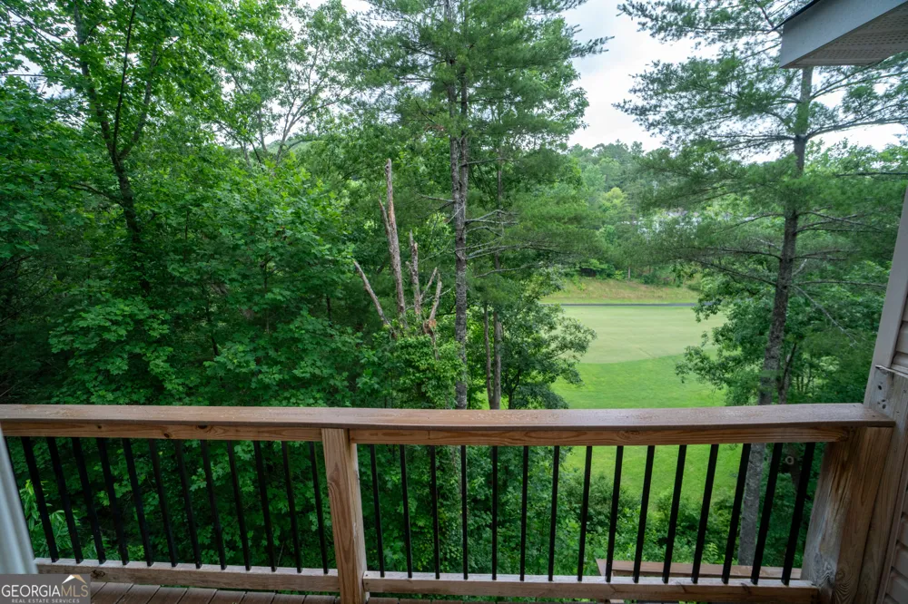 81 Dach Bruecke Gasse Helen, GA 30545